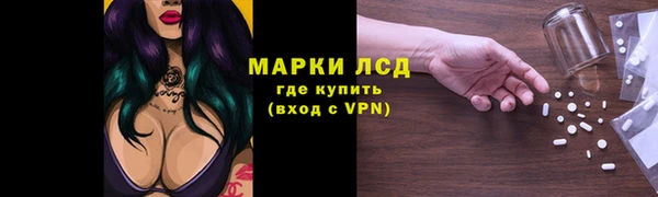 сатива Арсеньев