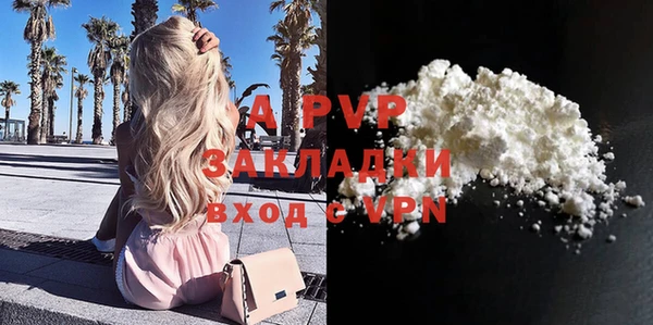 сатива Арсеньев