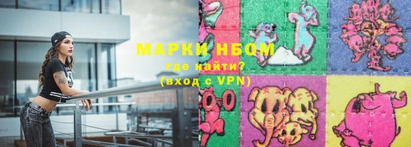 сатива Арсеньев