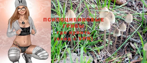 молекула духа Армянск